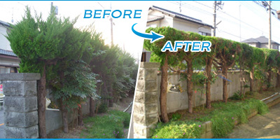 住まいの困りごと