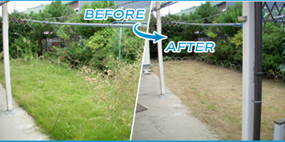 庭の草刈り年間委託サービス