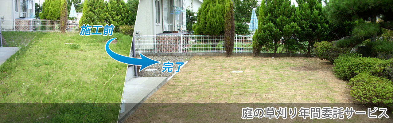 庭の草刈り年間委託サービス