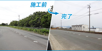 ケミクレア様立木伐採工事